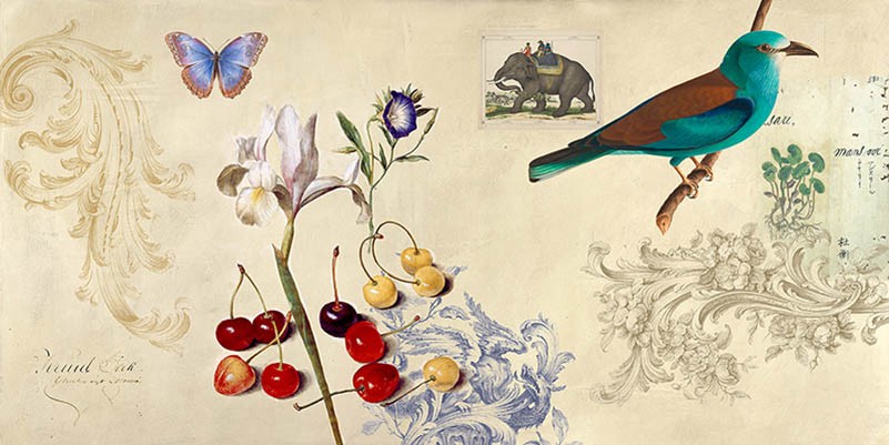 Gabinete de Curiosidades I