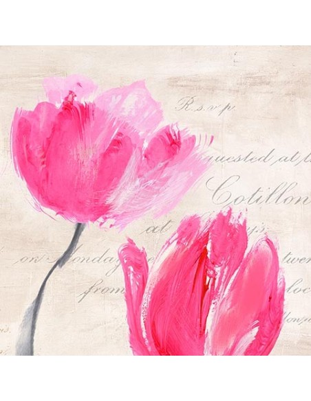 Tulipanes clásicos II