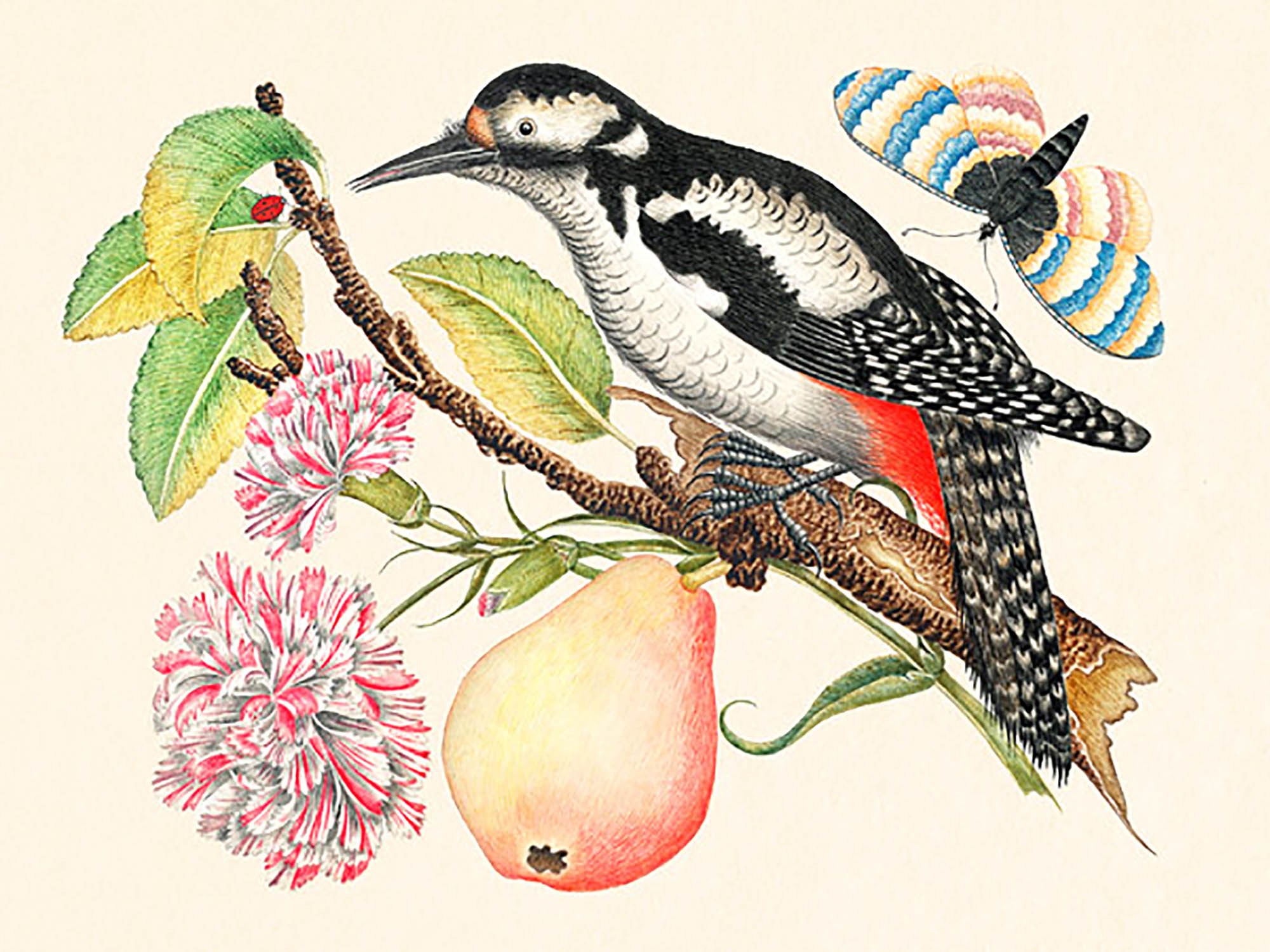 Un pájaro posado en una rama.