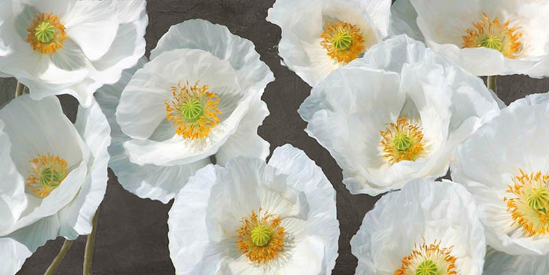 Arreglo de amapolas (menta)