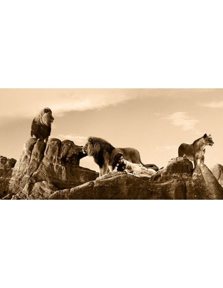 Abrazando la belleza