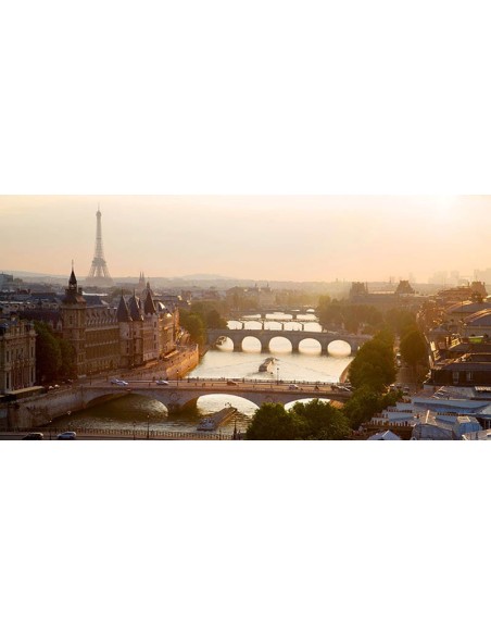 Puentes sobre el río Sena, París