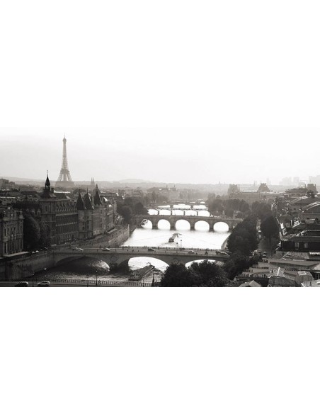Puentes sobre el río Sena, París