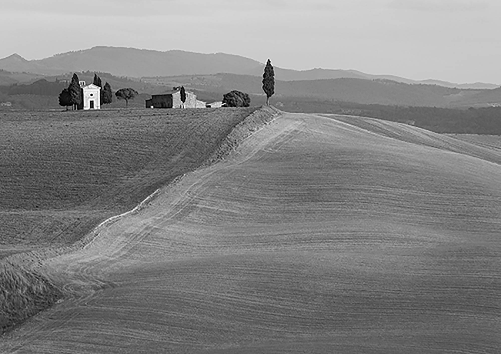 Val d'Orcia, Siena, Toscana (BW)