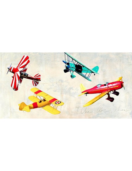 El espectáculo aéreo