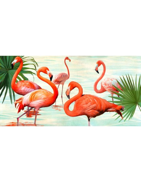 Flamencos