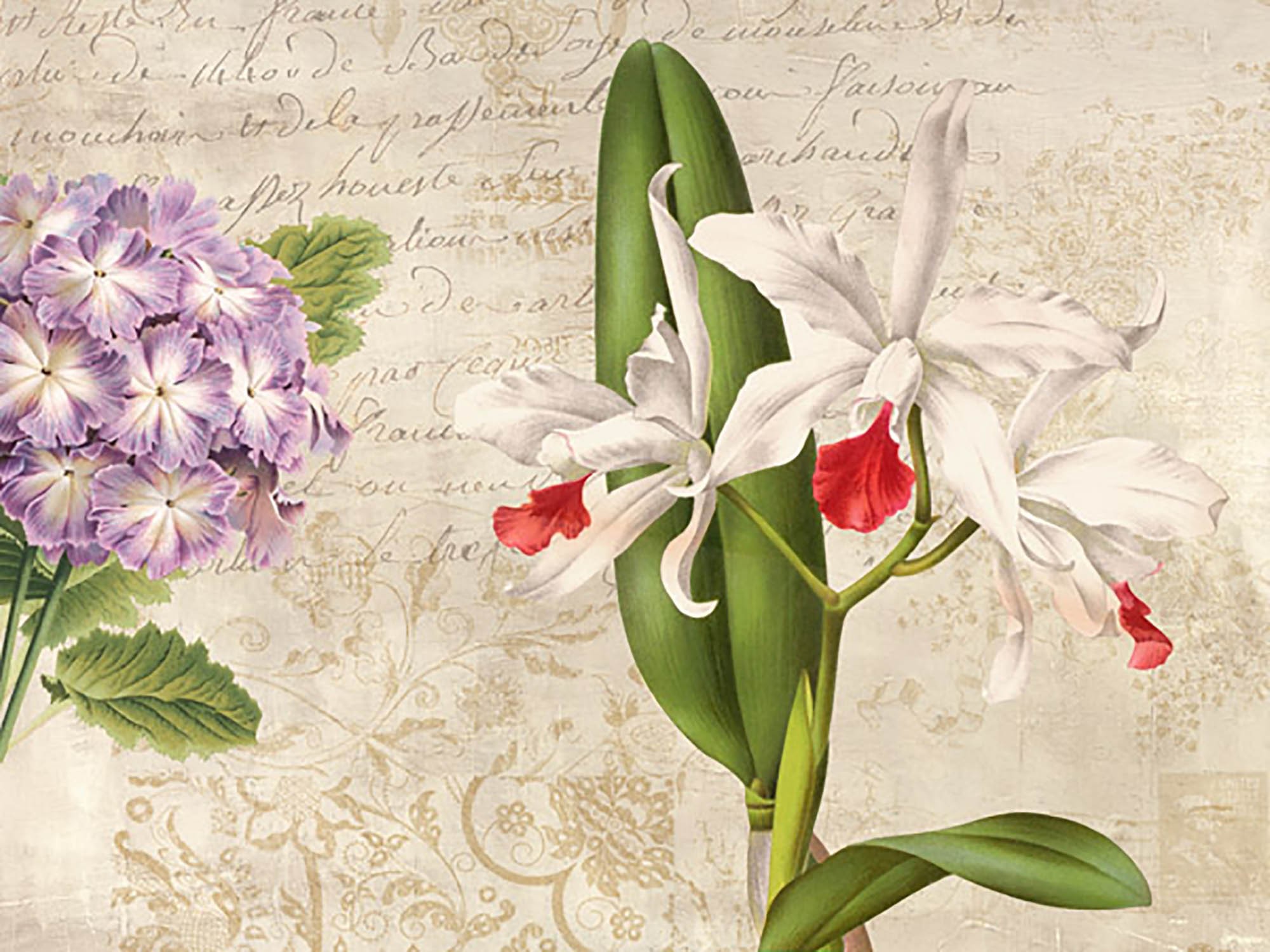 Botánica moderna III