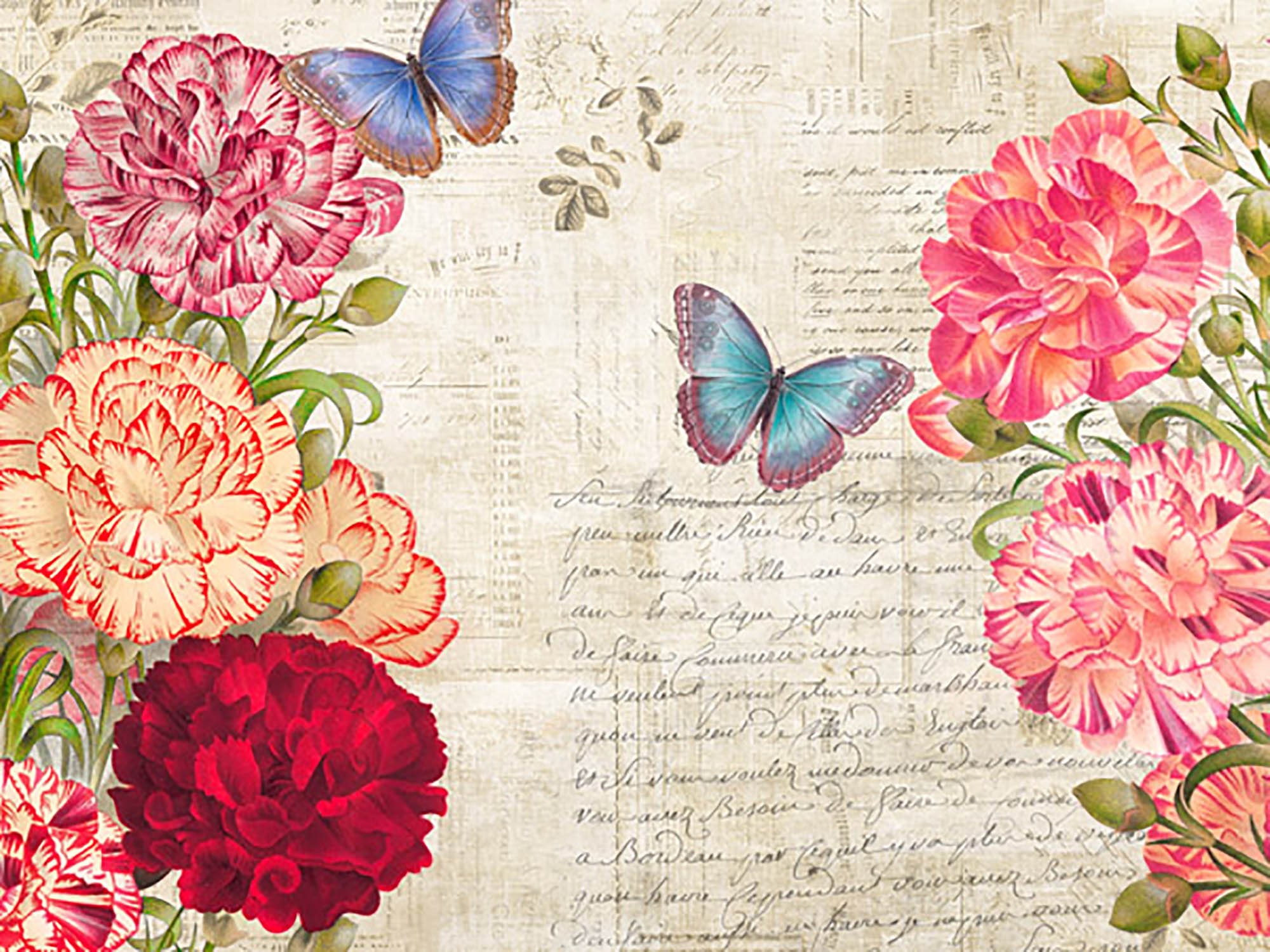 Botánica moderna IV