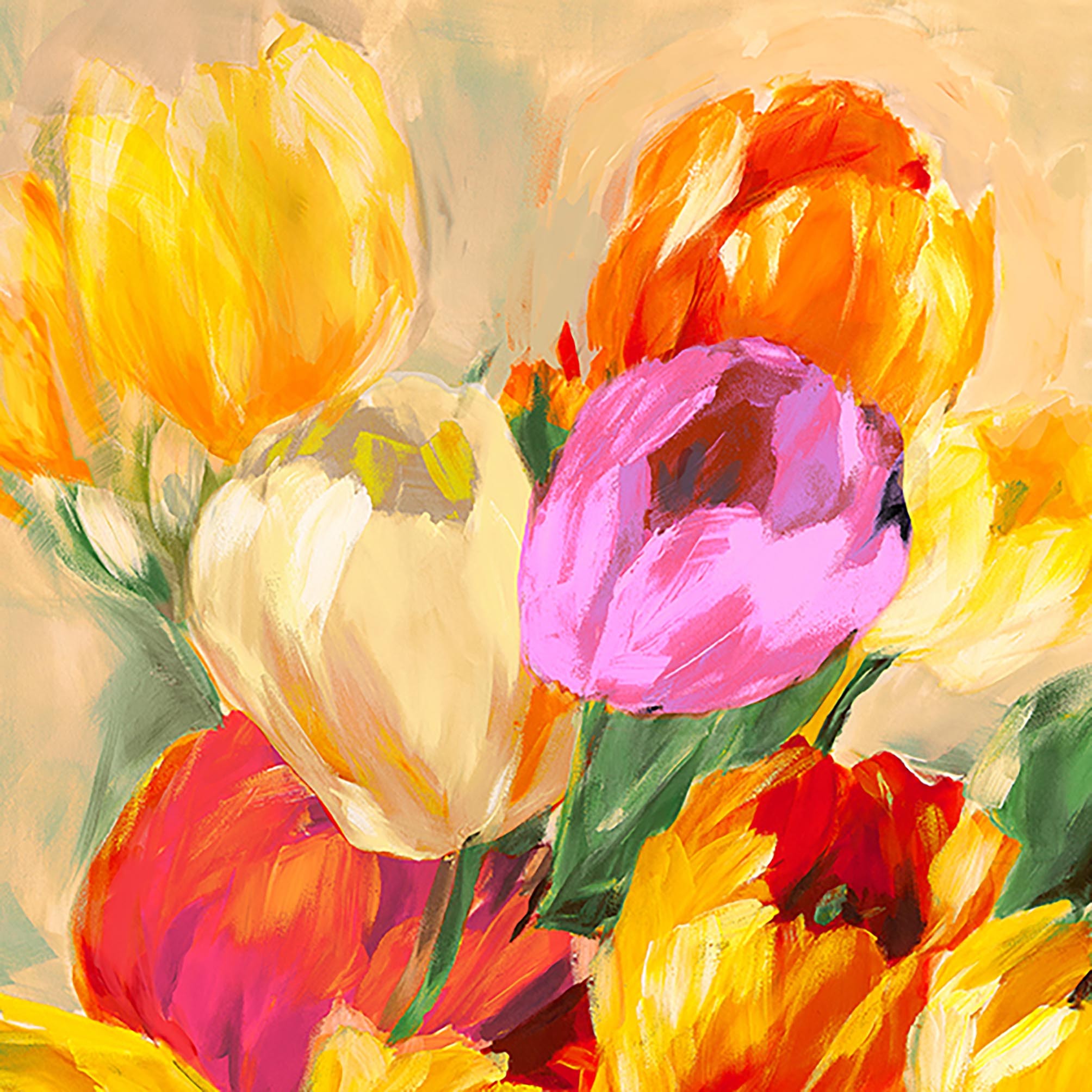 Tulipanes coloridos I