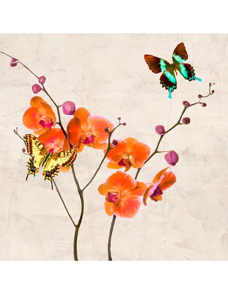 Orquídeas y mariposas I