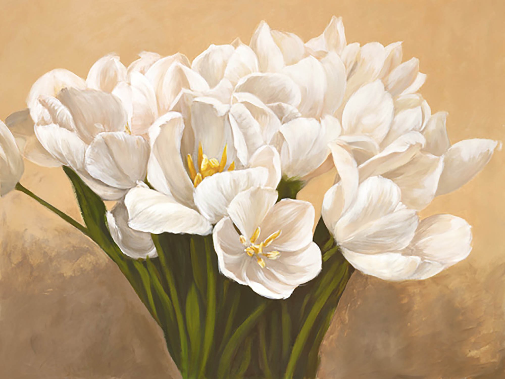 Tulipanes blancos