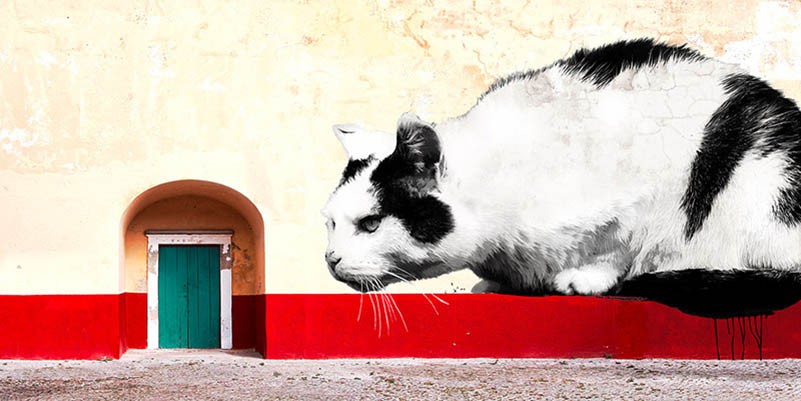 Esperándote, Ciudad de México