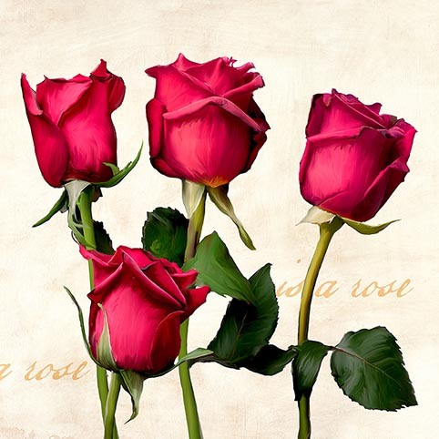 Una rosa es una rosa