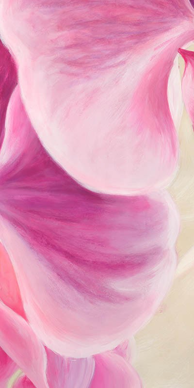 Orquídeas púrpuras II