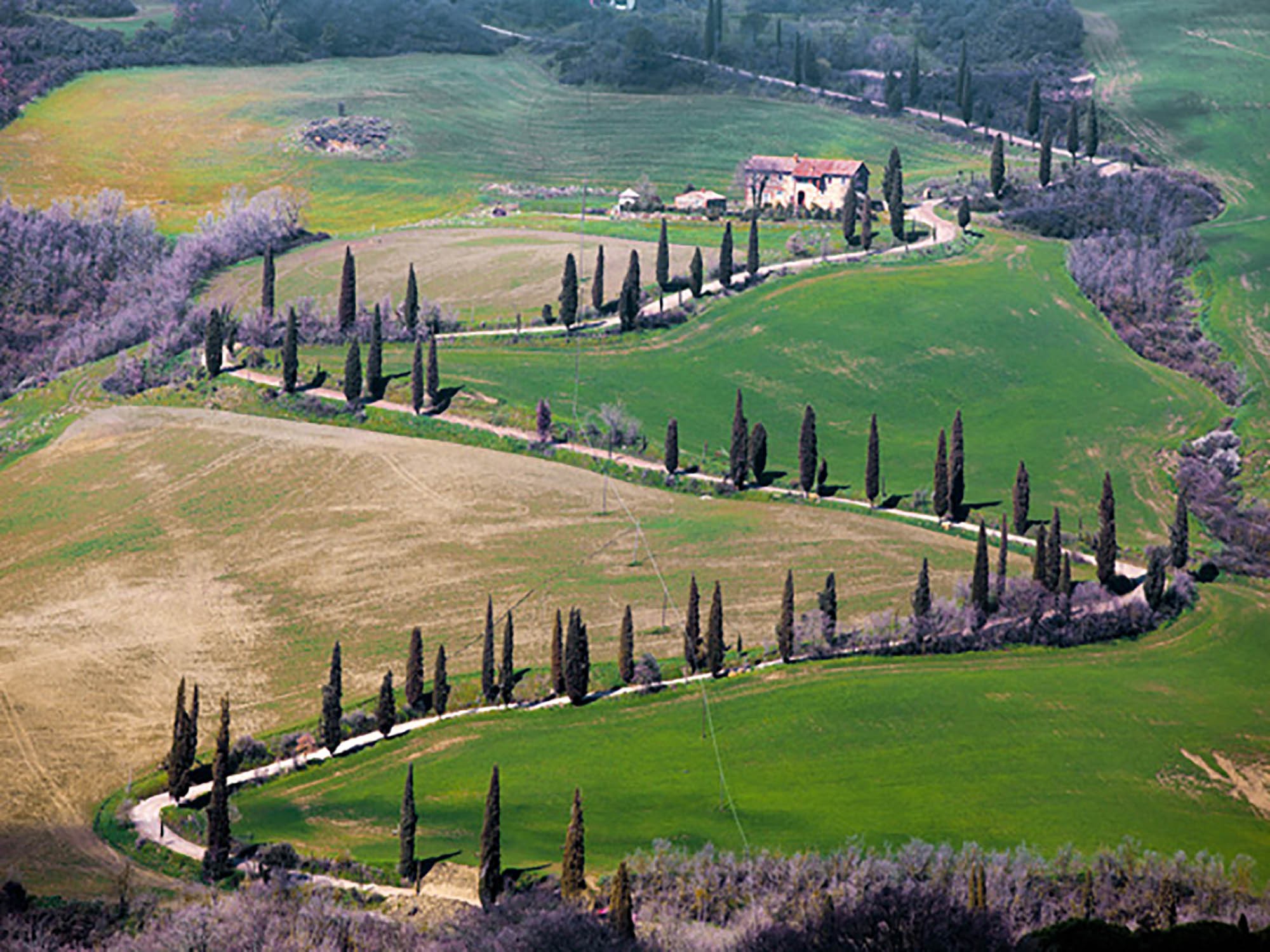 Carretera cerca de Montepulciano, Toscana, Italia