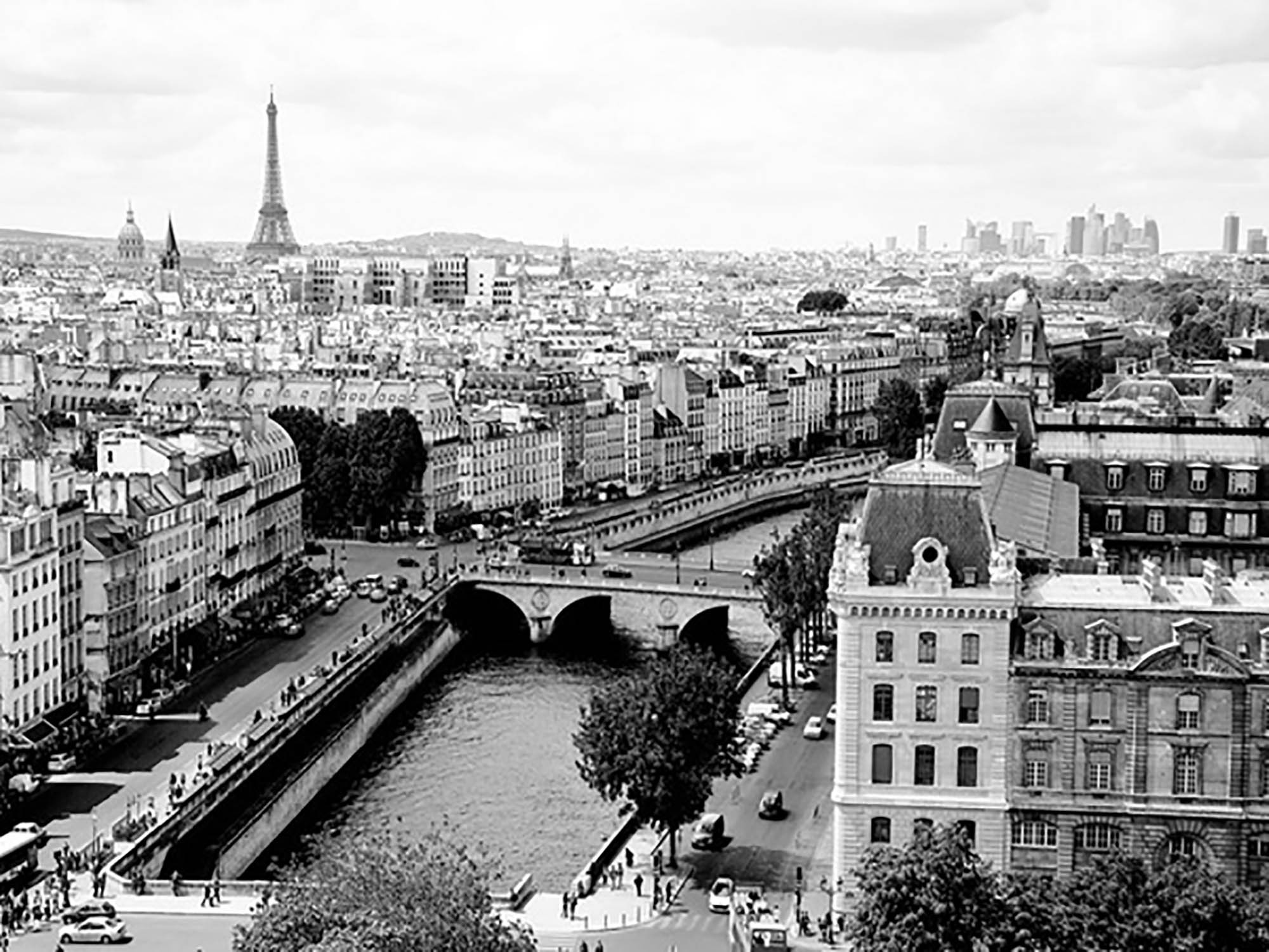 Vista de París y el río Sena