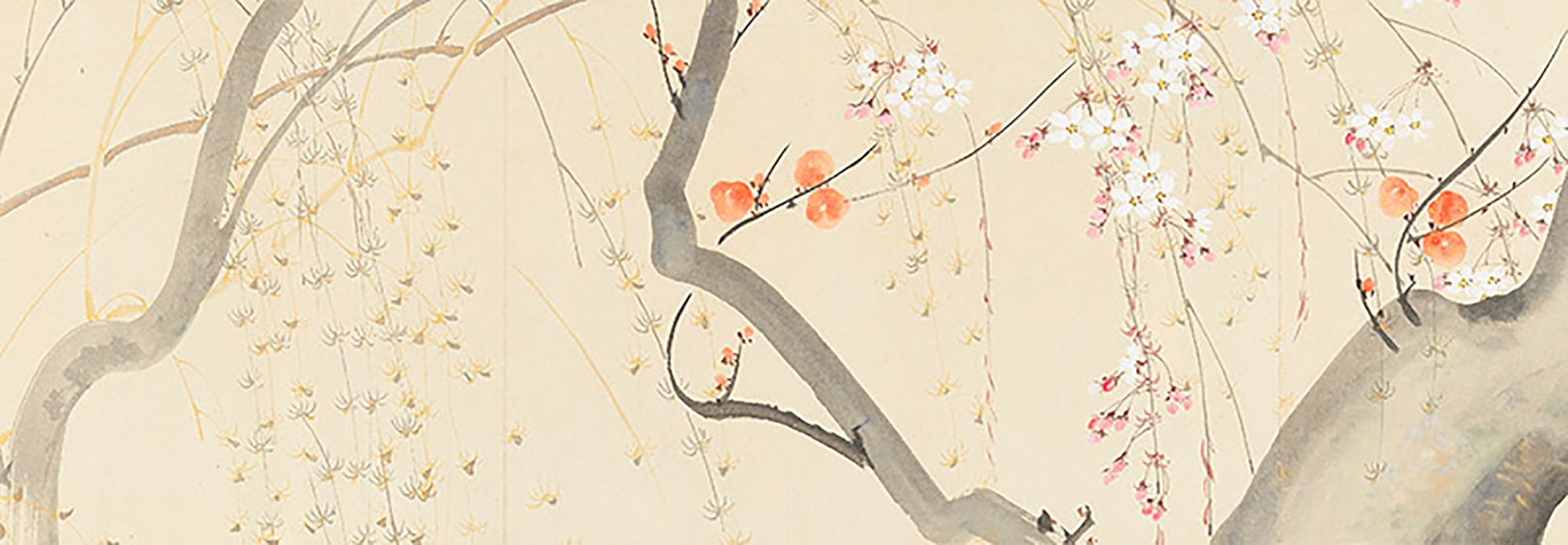 Flores de las cuatro estaciones