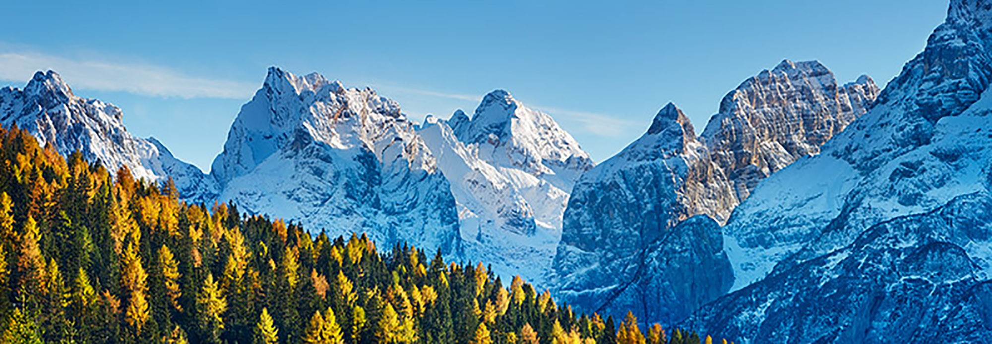 Bosque de alerces y Cima bel Pra, Italia