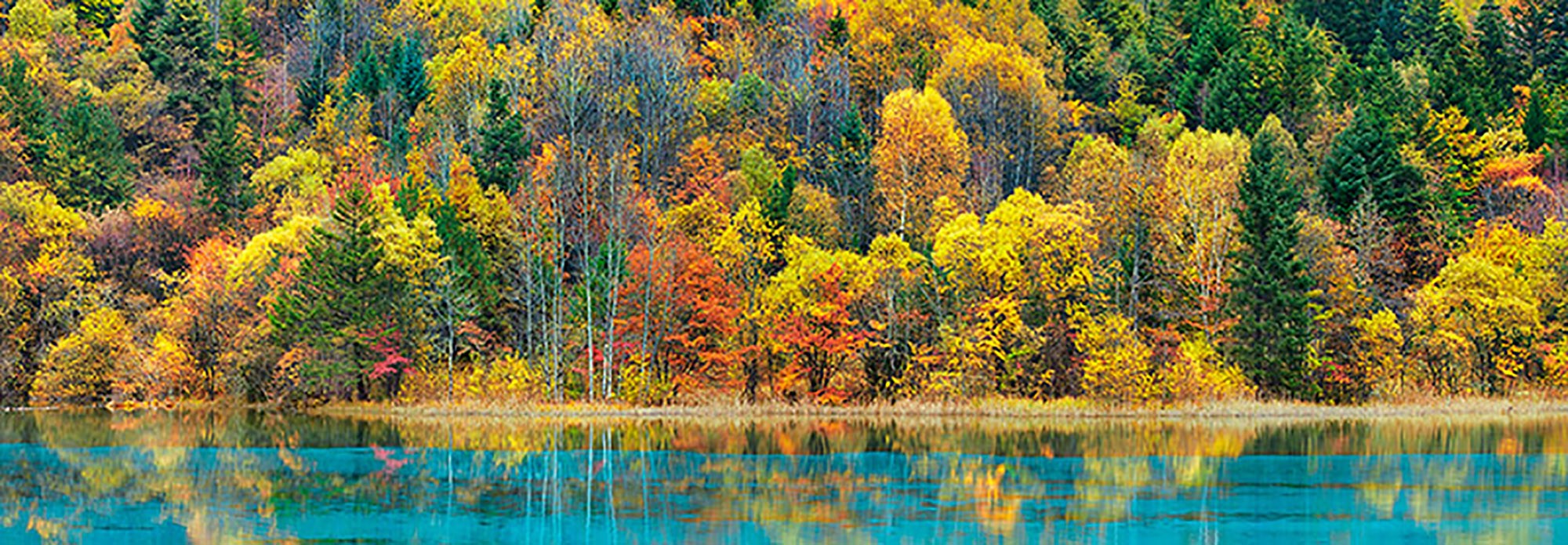 Lago y bosque en otoño, China