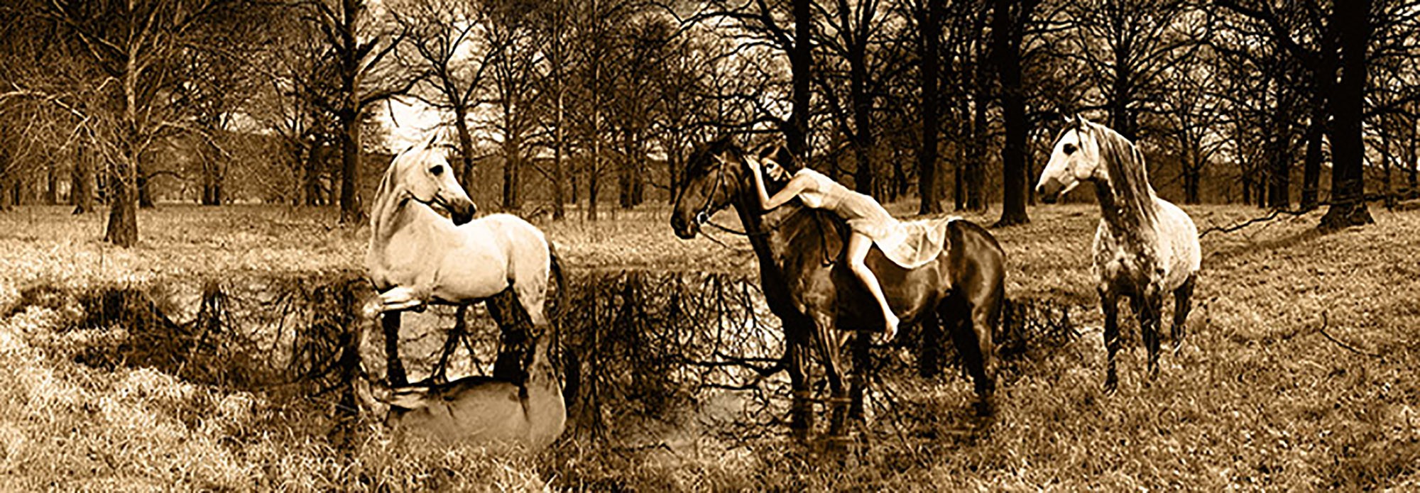 Espíritus del bosque