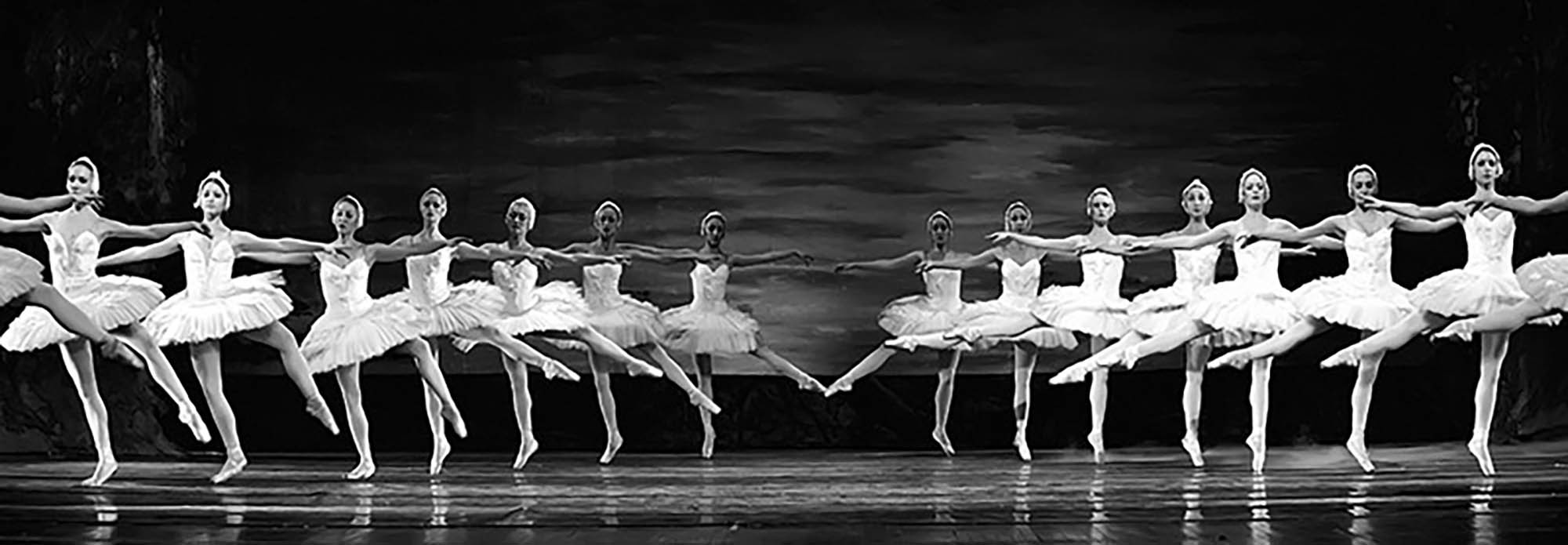 Ballet del lago de los cisnes