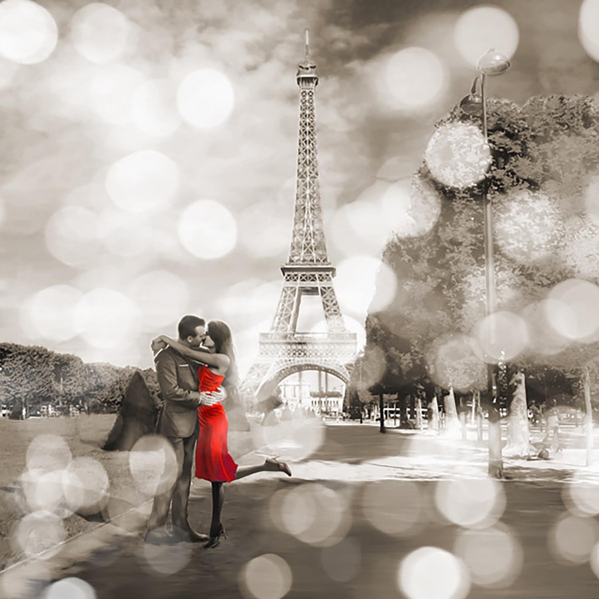 Bulevar de árboles (detalle, blanco y negro)