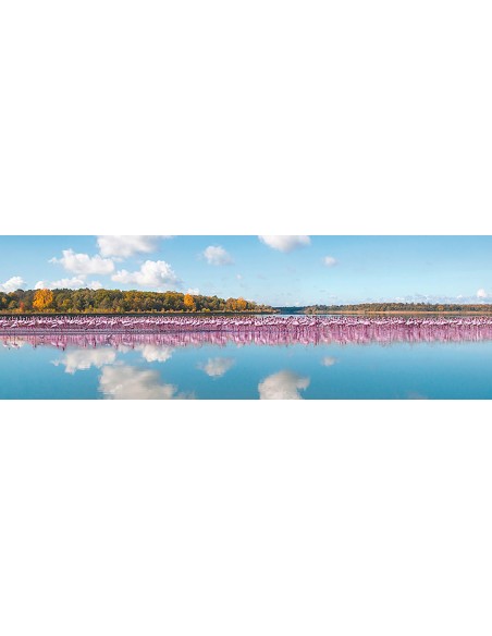 Reflejo de flamencos, Camarga, Francia (detalle)