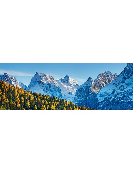 Bosque de alerces y Cima bel Pra, Italia