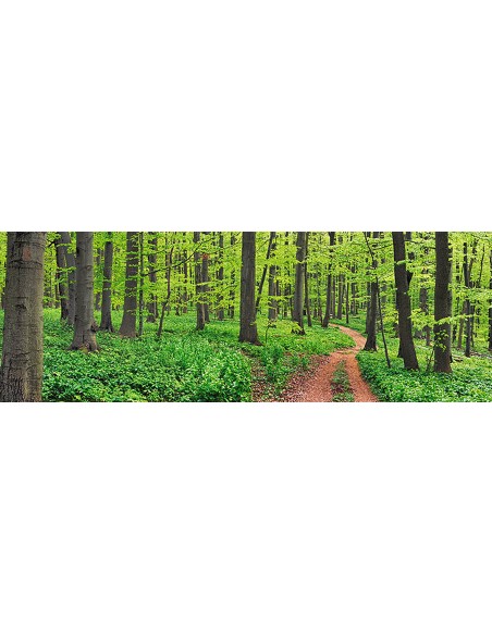 bosque de hayas, Alemania