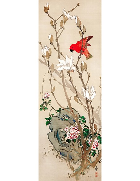 Periquito rojo, c. 1830