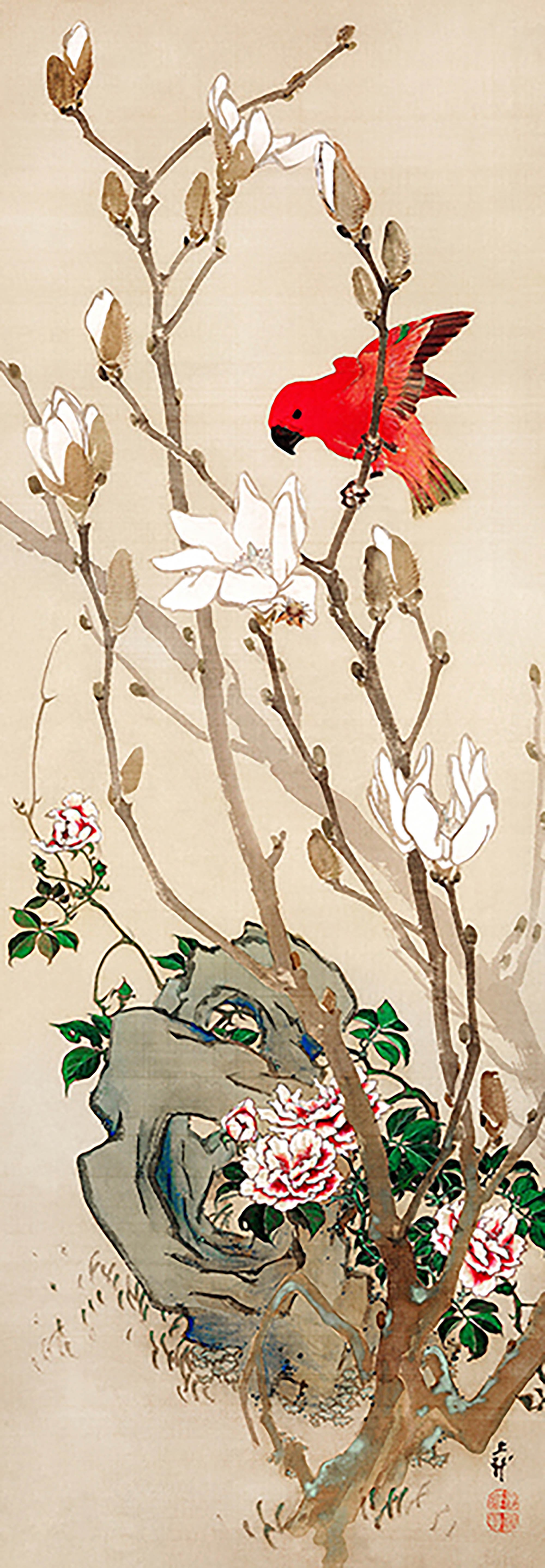 Periquito rojo, c. 1830