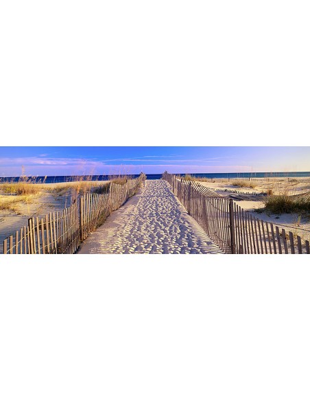 Camino a la playa, Florida