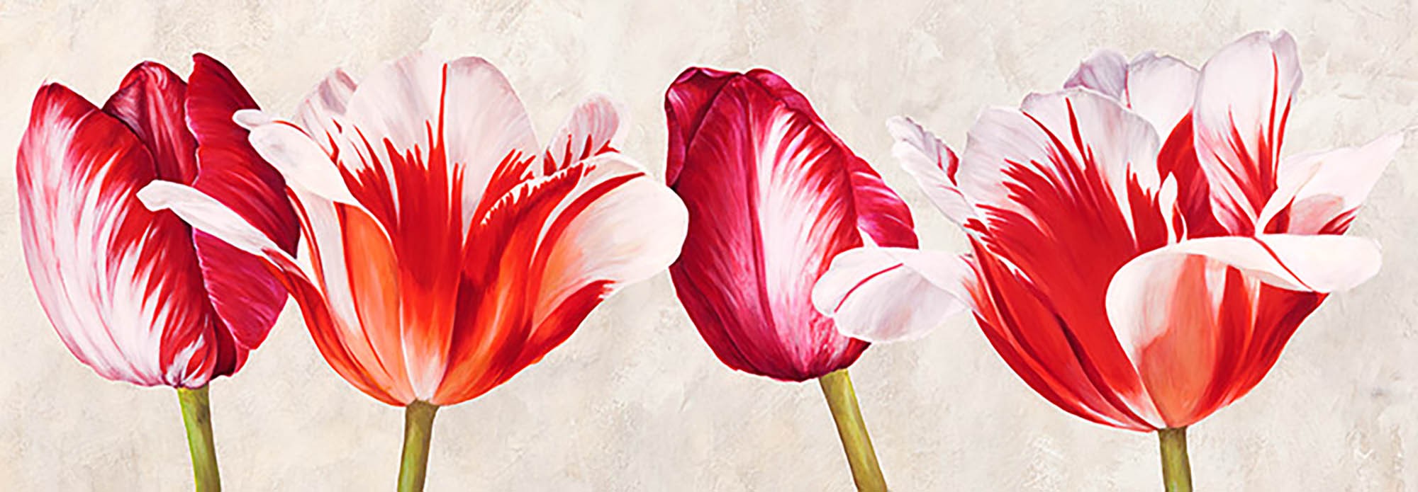Tulipanes alegres
