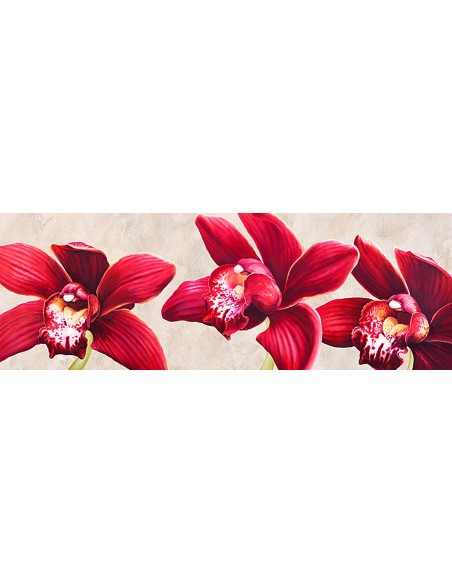 Orquídeas elegantes