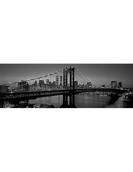 Puente y horizonte de Manhattan