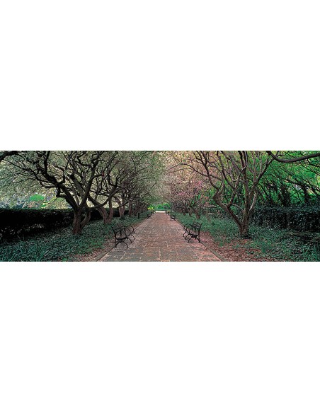 A través del Jardín Conservatorio, Central Park, Nueva York