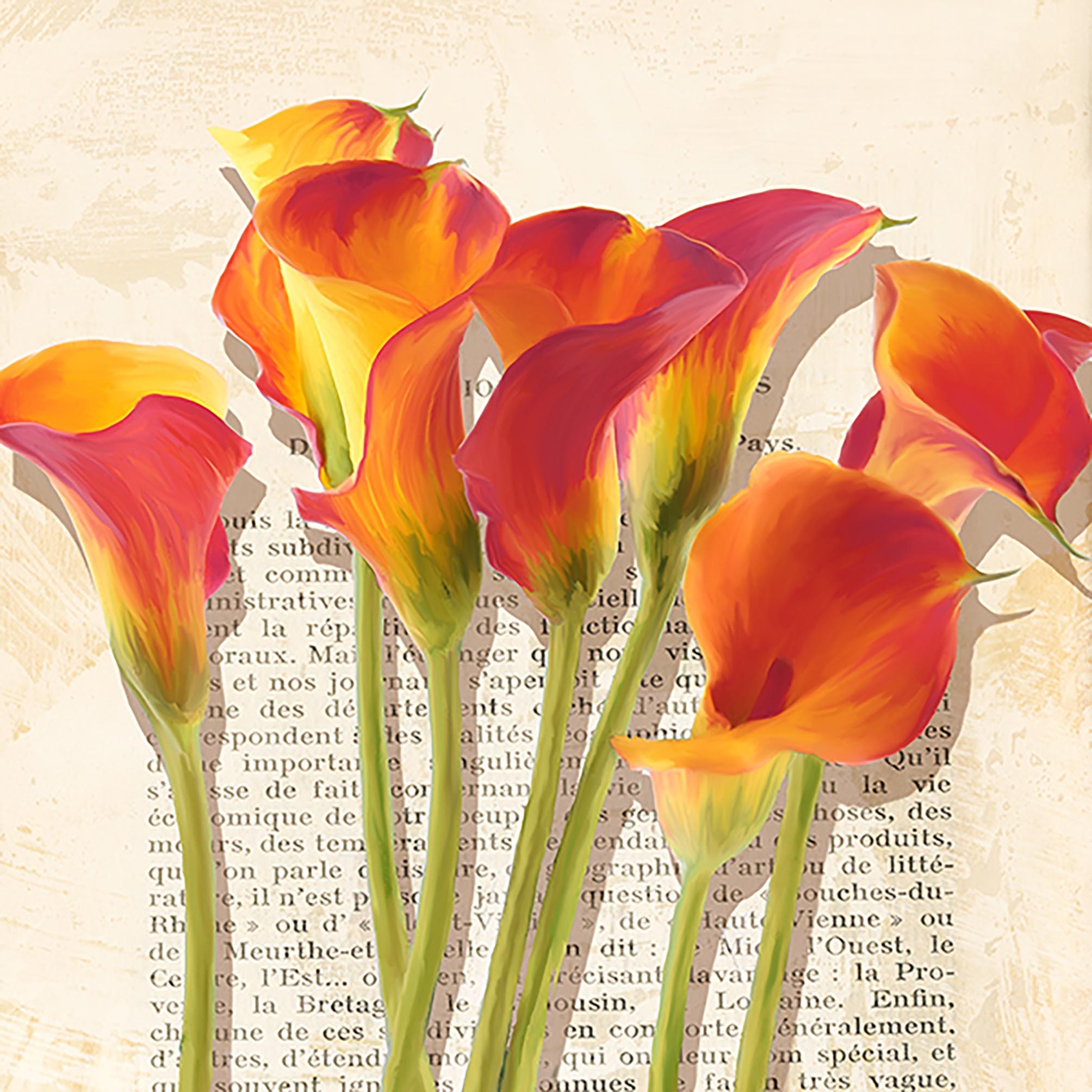 Historias de Callas (detalle)