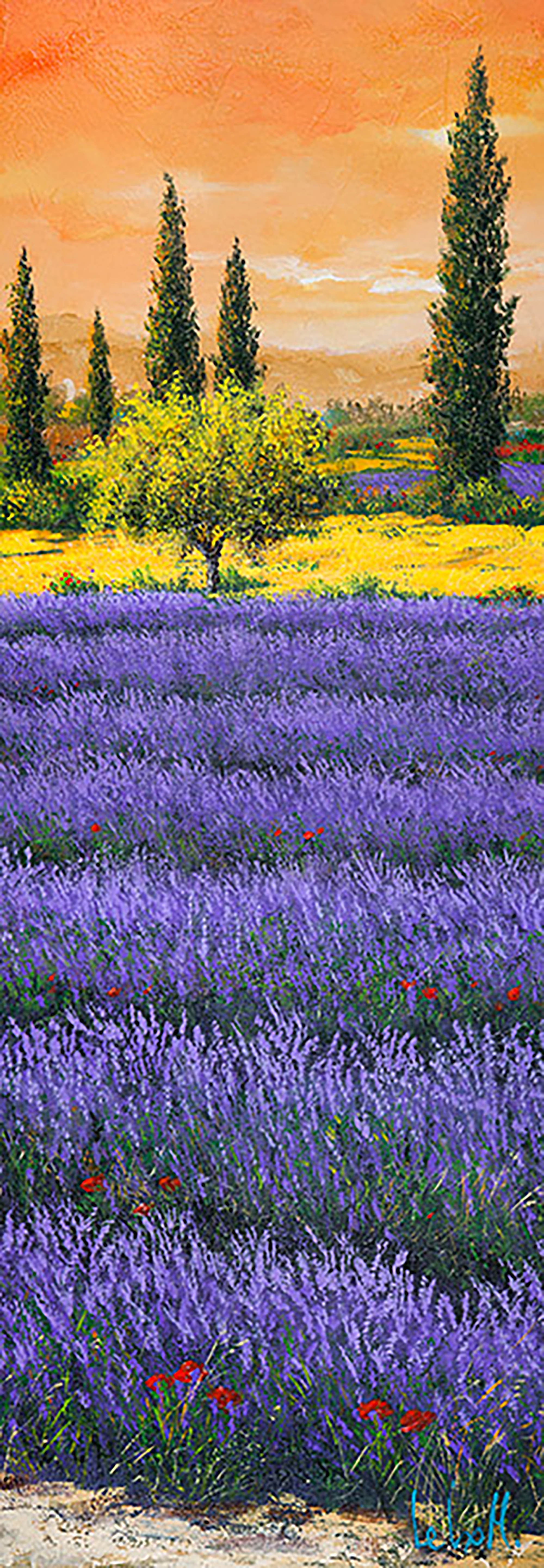 Tarde entre la lavanda