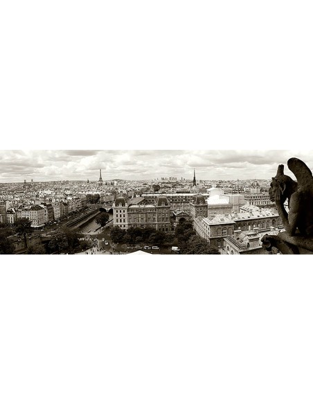 Panorama de París