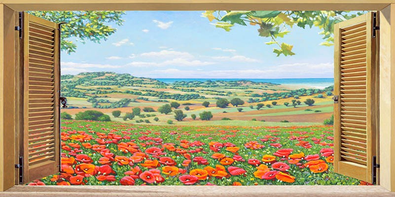 Ventana a un campo de amapolas