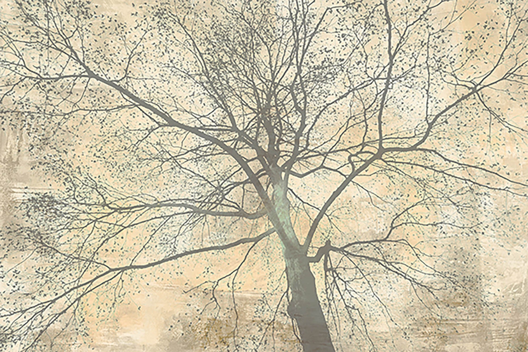 Debajo de mi árbol II