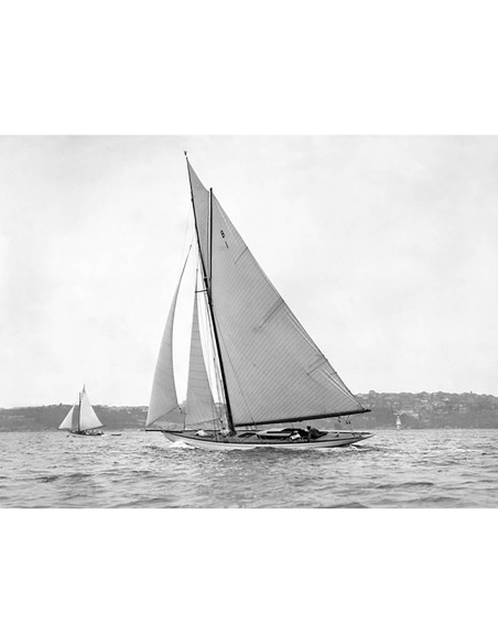 Balandra victoriana en el puerto de Sídney, 1930
