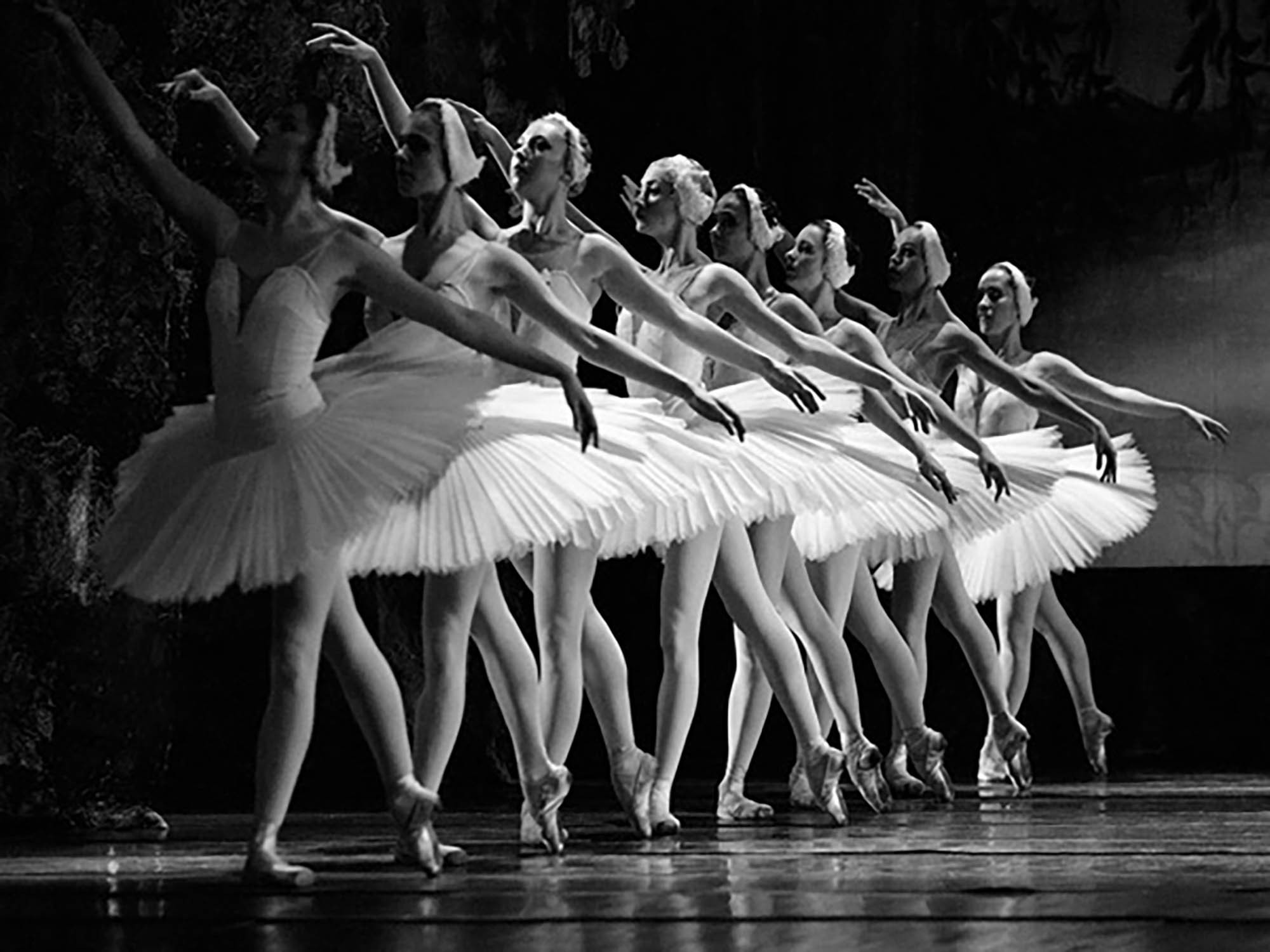 Ballet del lago de los cisnes