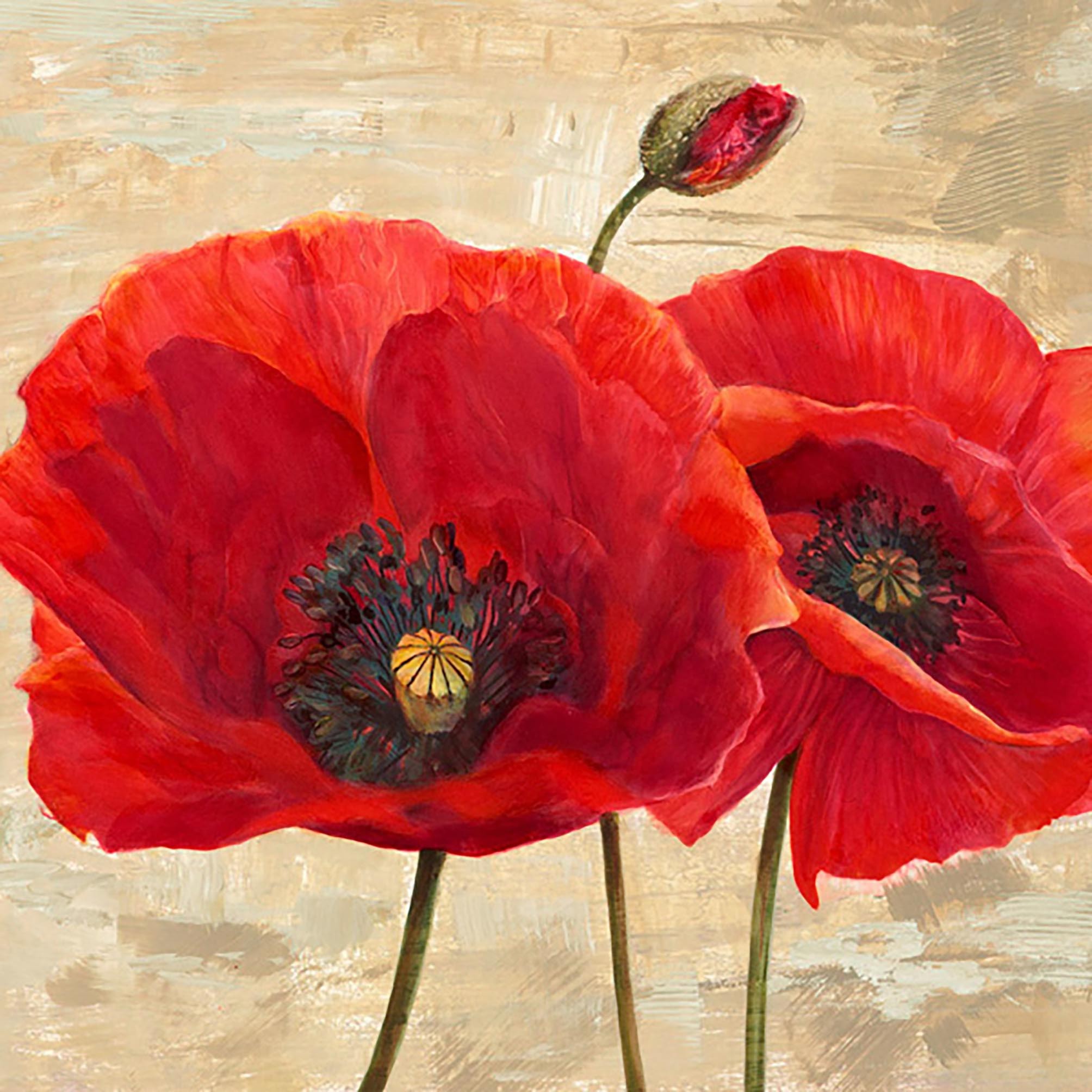 Amapolas rojas (detalle II)