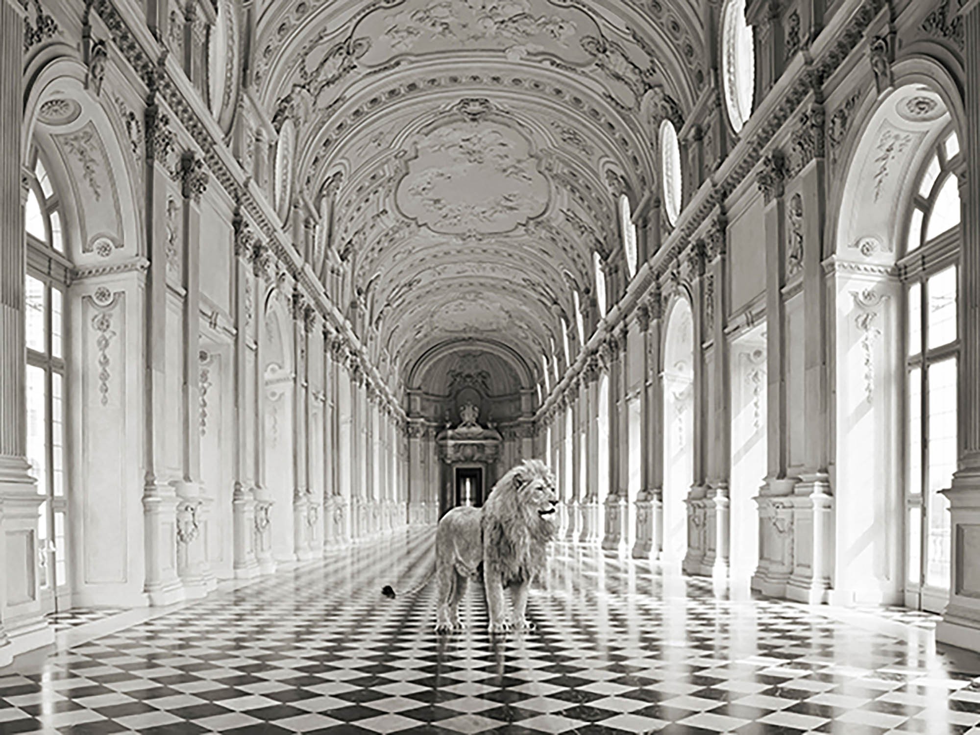 Lujosa naturaleza salvaje IV