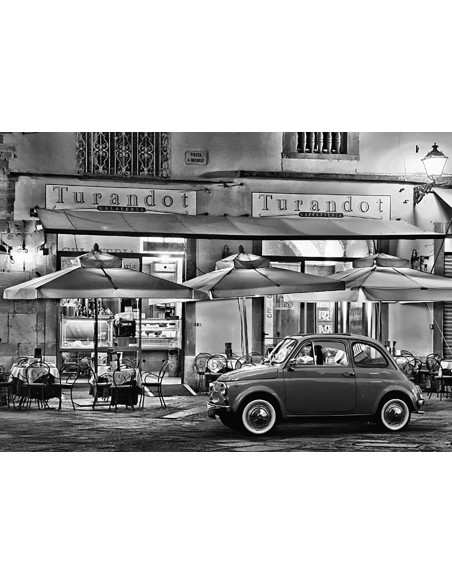 Belleza italiana (BW)