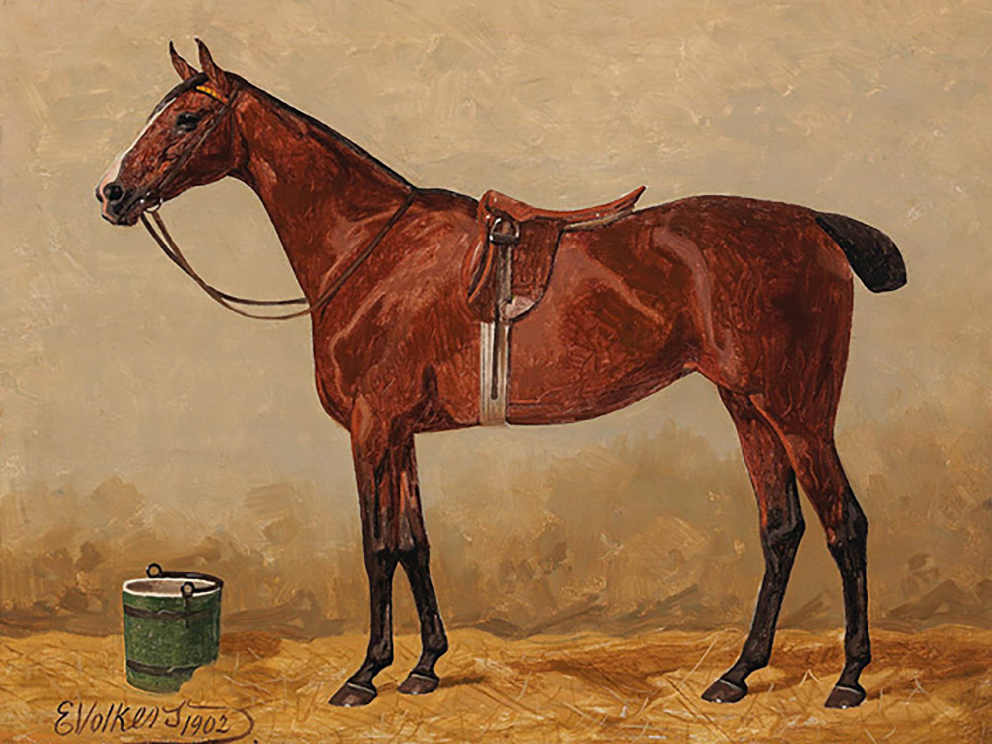 Bahía en un establo