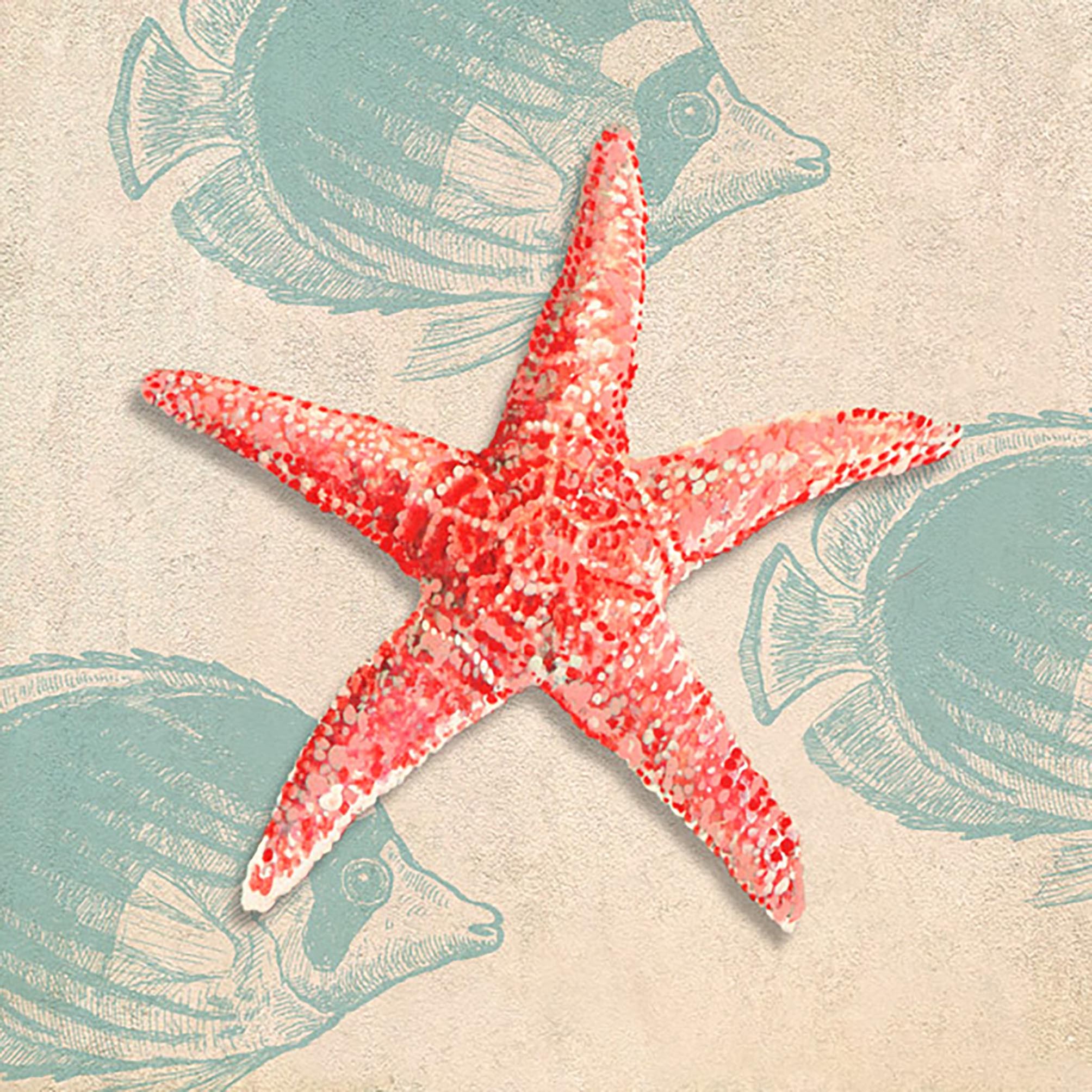 Regalo del océano I