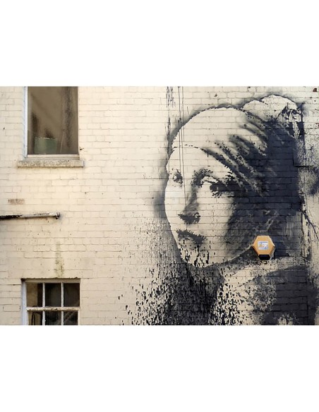 Hanover Place, Bristol (grafiti atribuido a Banksy)