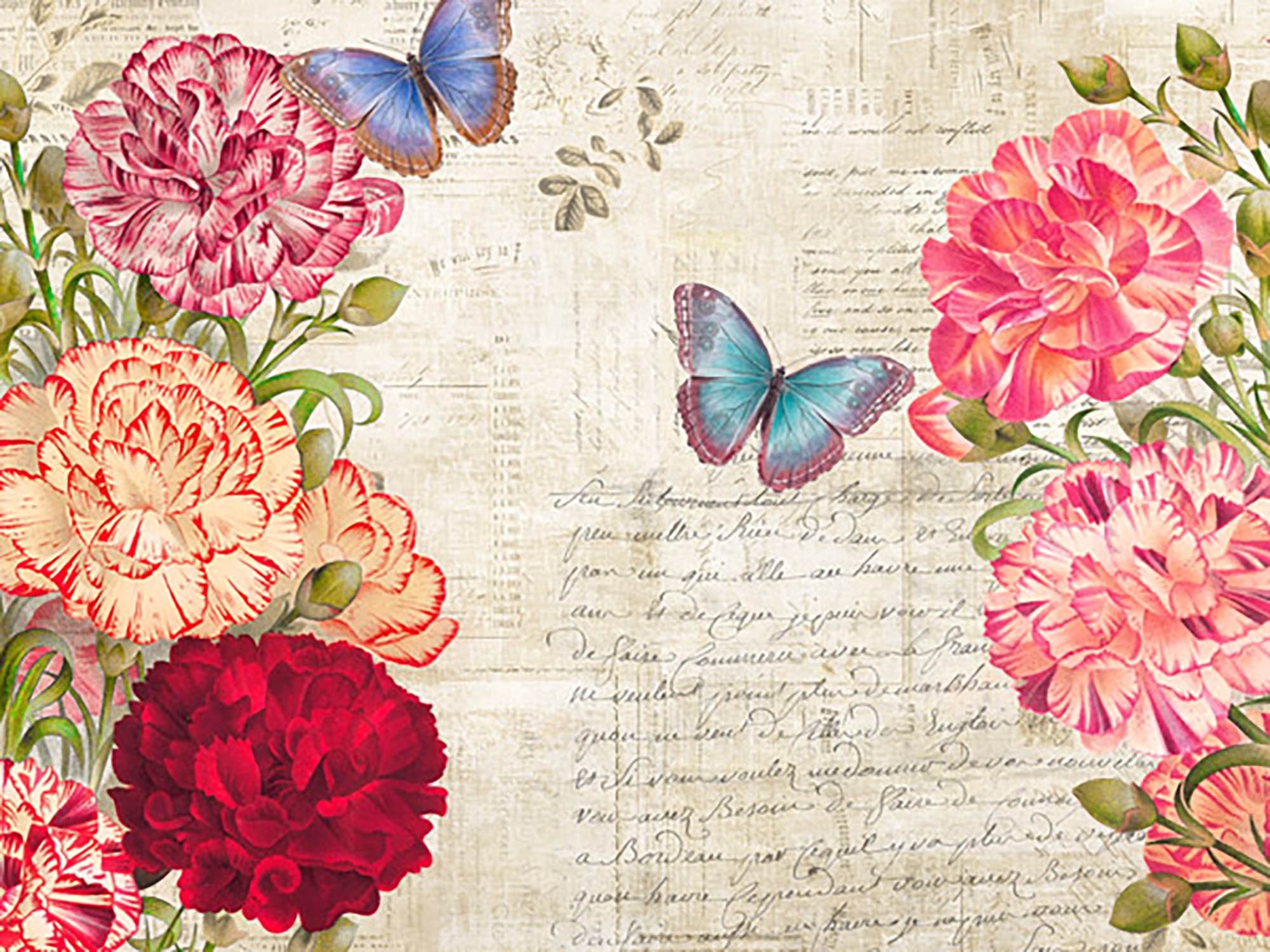 Botánica moderna IV